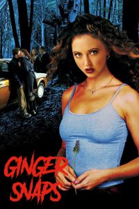 Ginger snaps