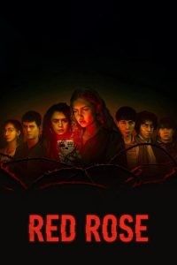 Red Rose